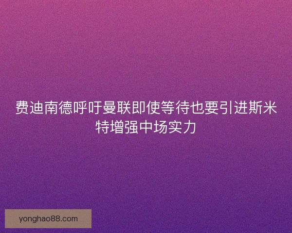 费迪南德呼吁曼联即使等待也要引进斯米特增强中场实力 费迪南德呼吁曼联即使等待也要引进斯米特增强中场实力